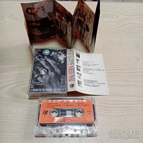 唱片、通讯音像制品与演出经纪 收藏杂项中的文化脉络